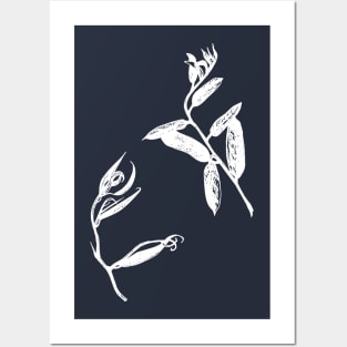 White outline on a white background. Author's drawing of a plant. Posters and Art